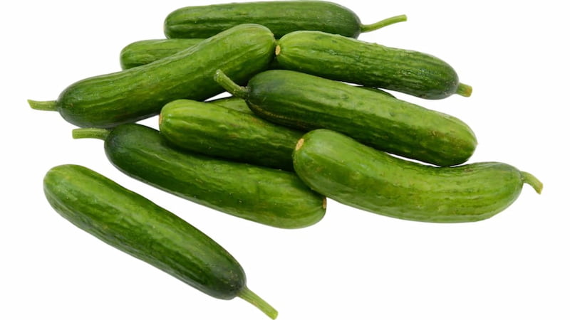 خیار درختی
